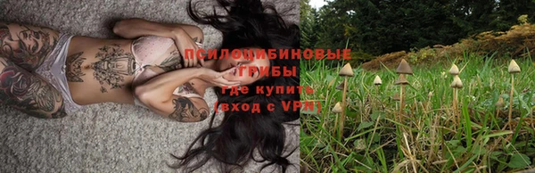 соль курить ск Алексин