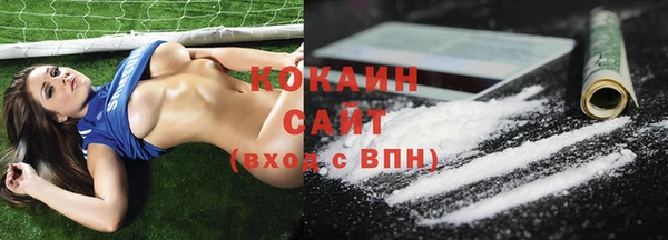 спиды Лиски